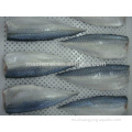 Filete de pescado Pacific Mackerel Frozen Pacific